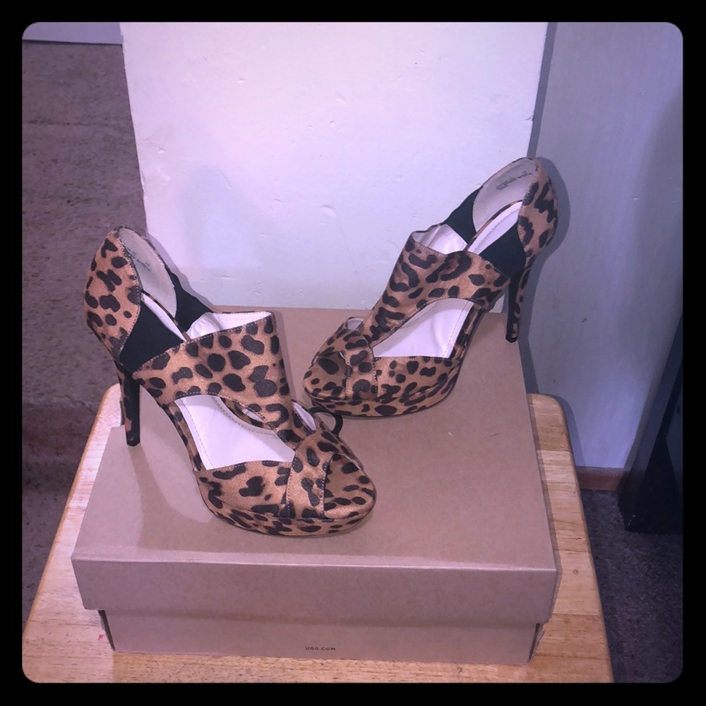 Animal Print